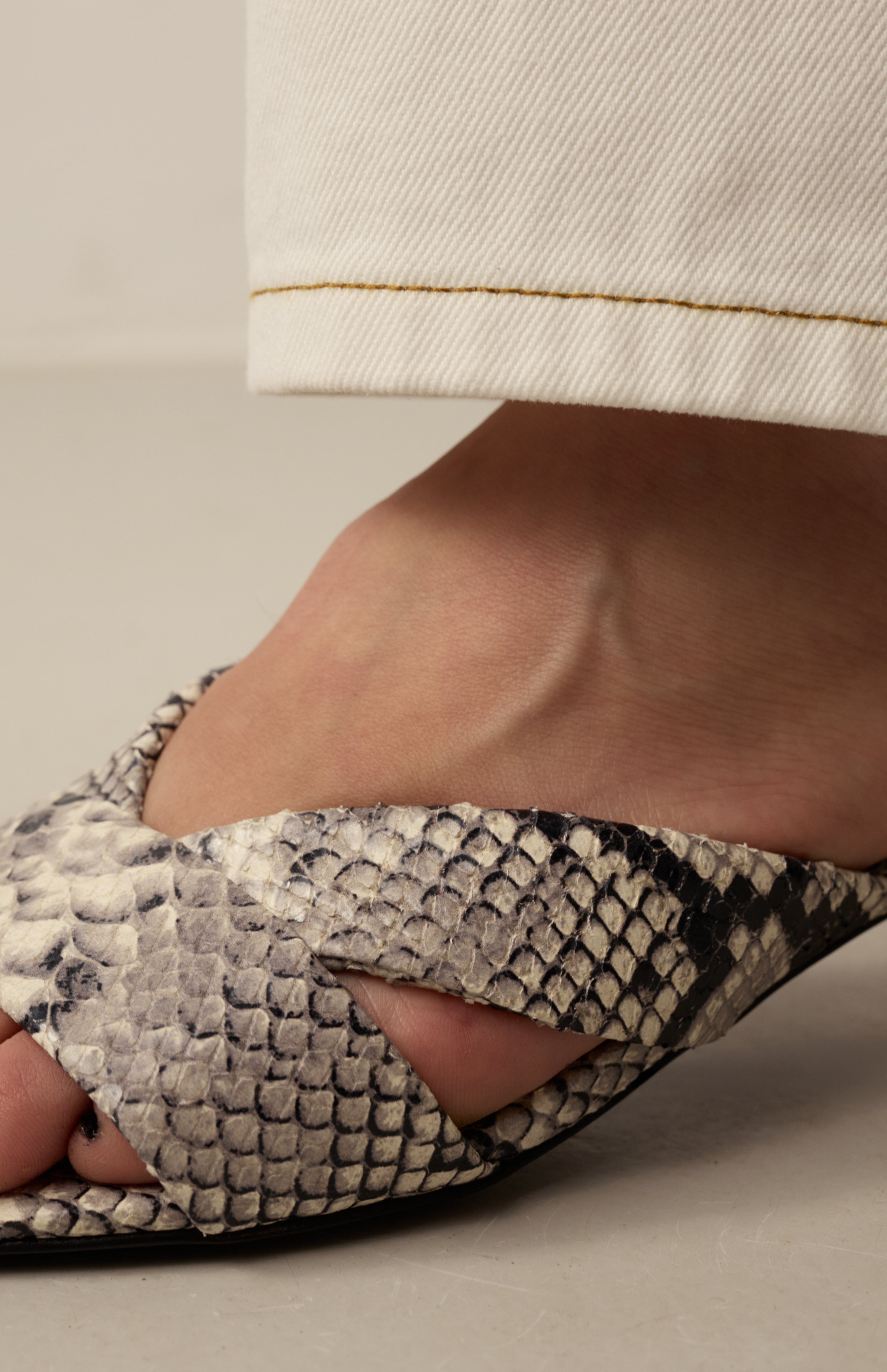 MAYA GREY PYTHON