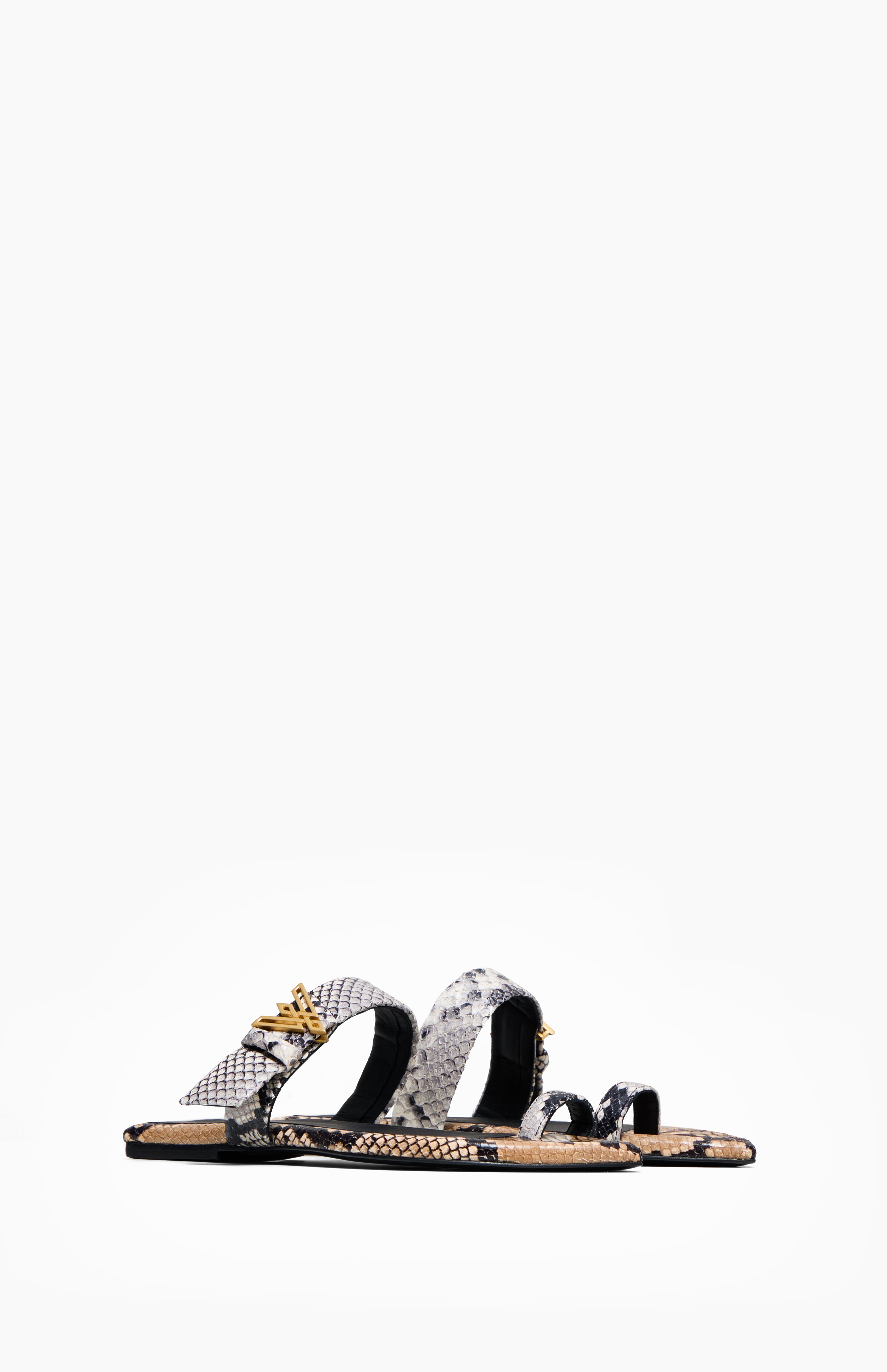 DOLLY MELANGE PYTHON