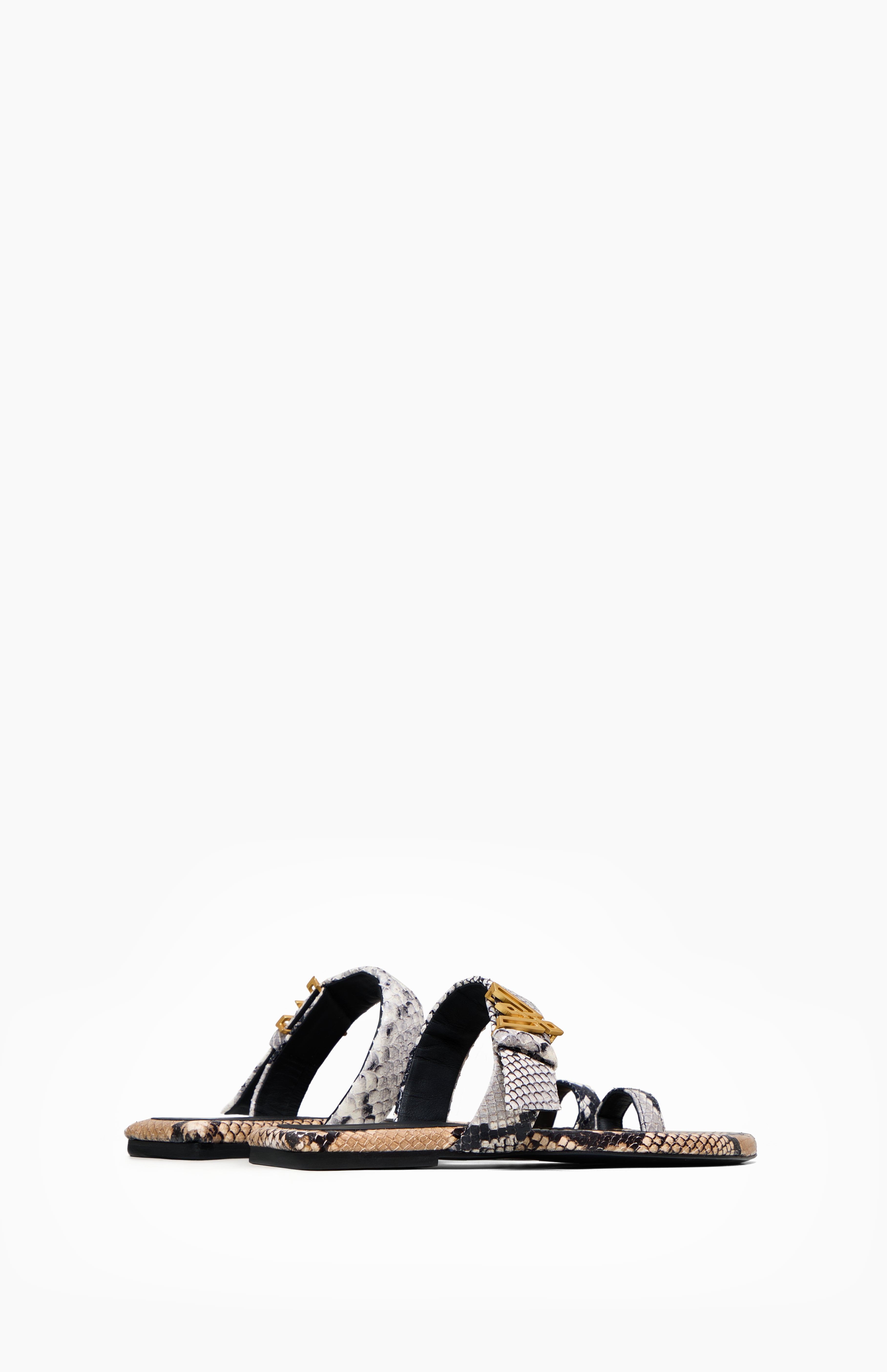 DOLLY MELANGE PYTHON