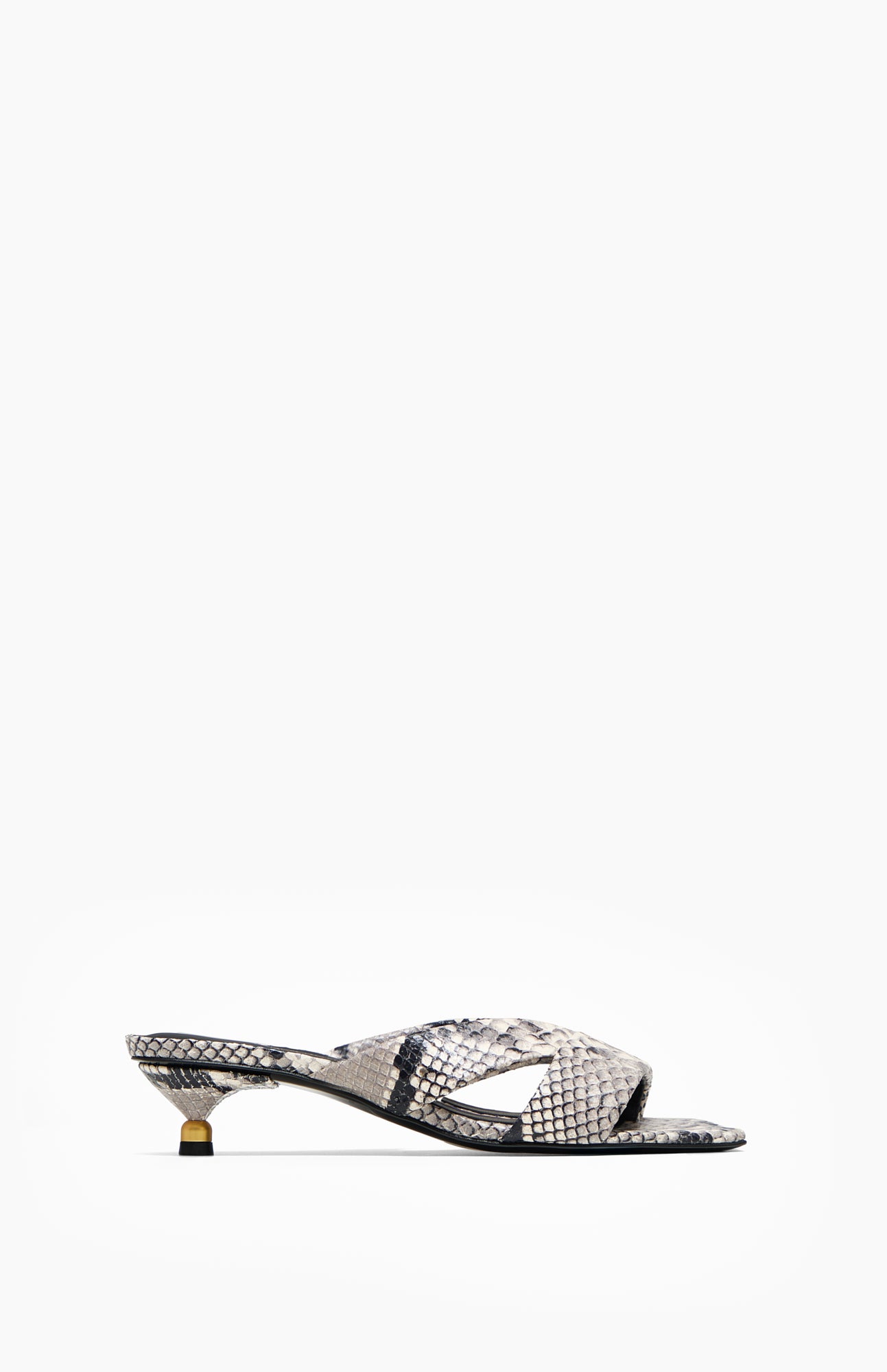 MAYA GREY PYTHON