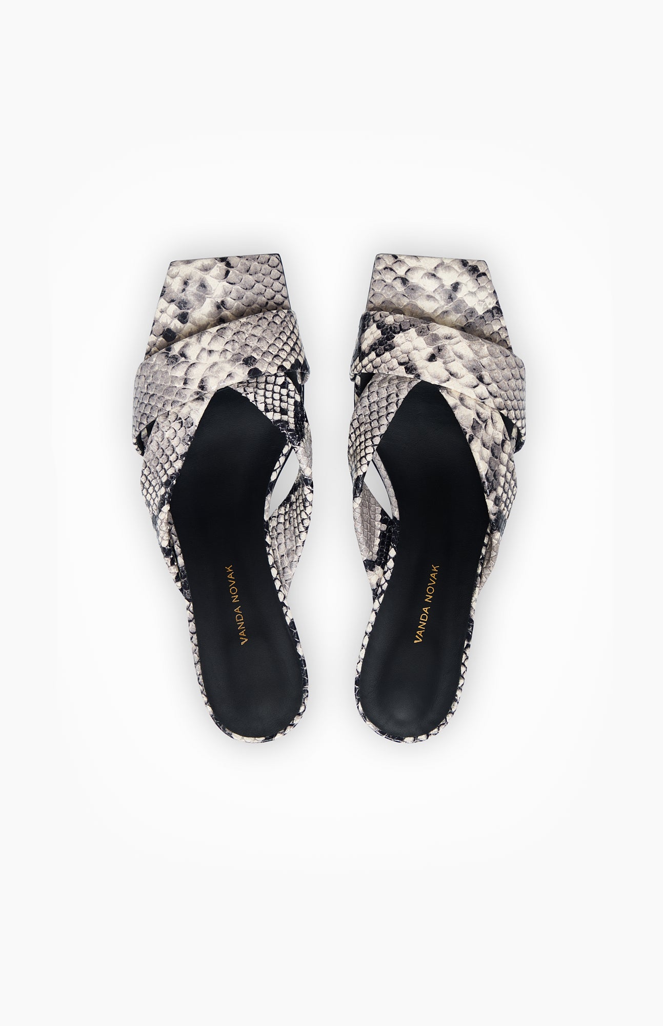 MAYA GREY PYTHON