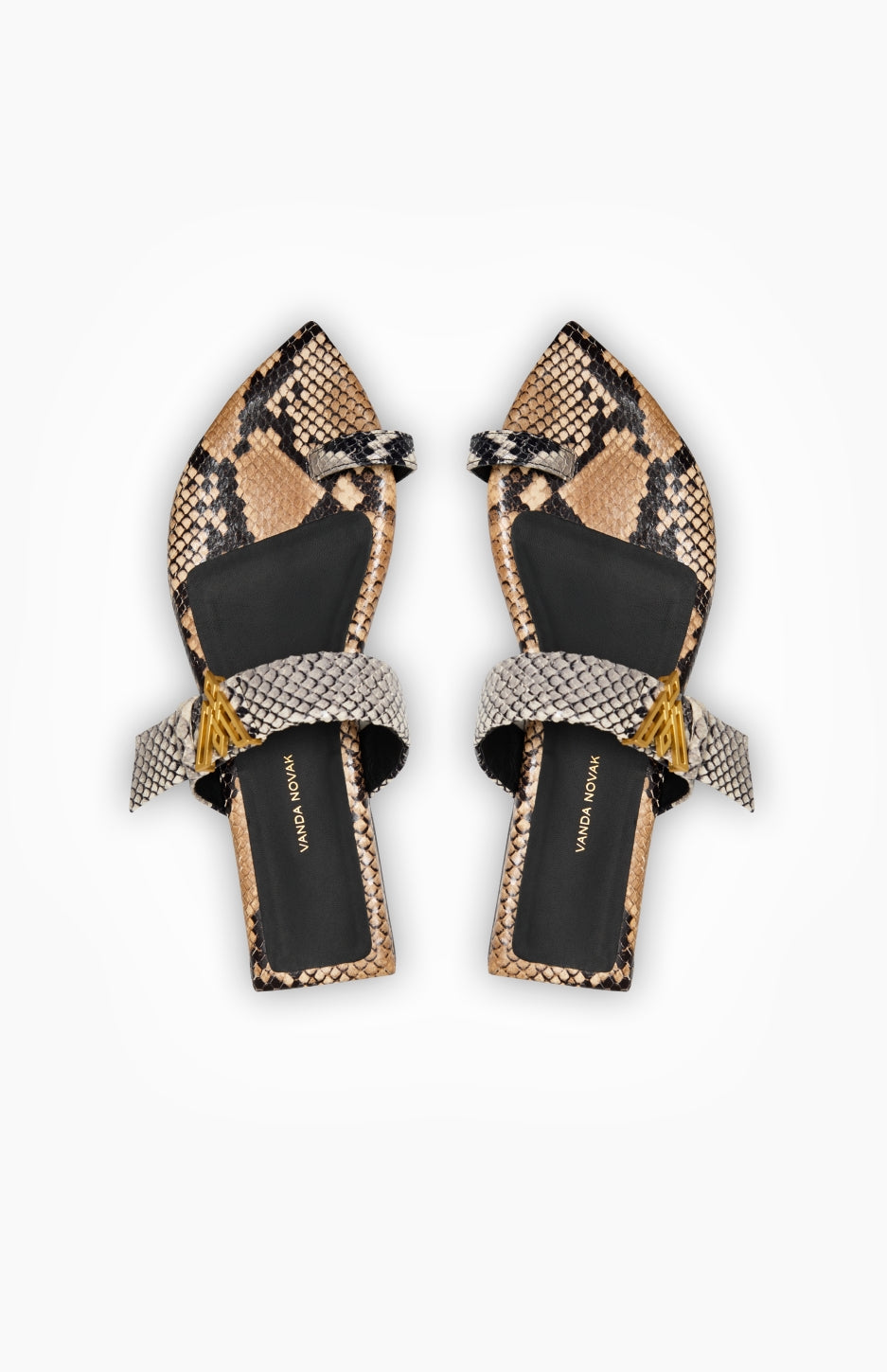 DOLLY MELANGE PYTHON