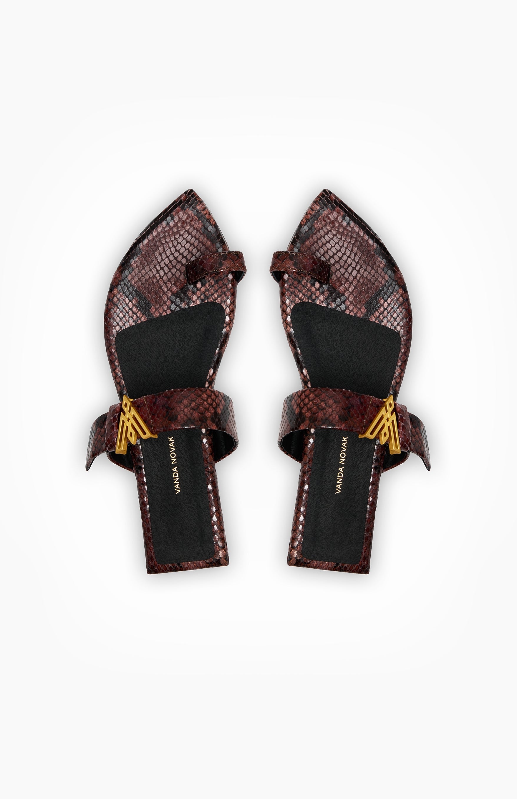 DOLLY BROWN PYTHON