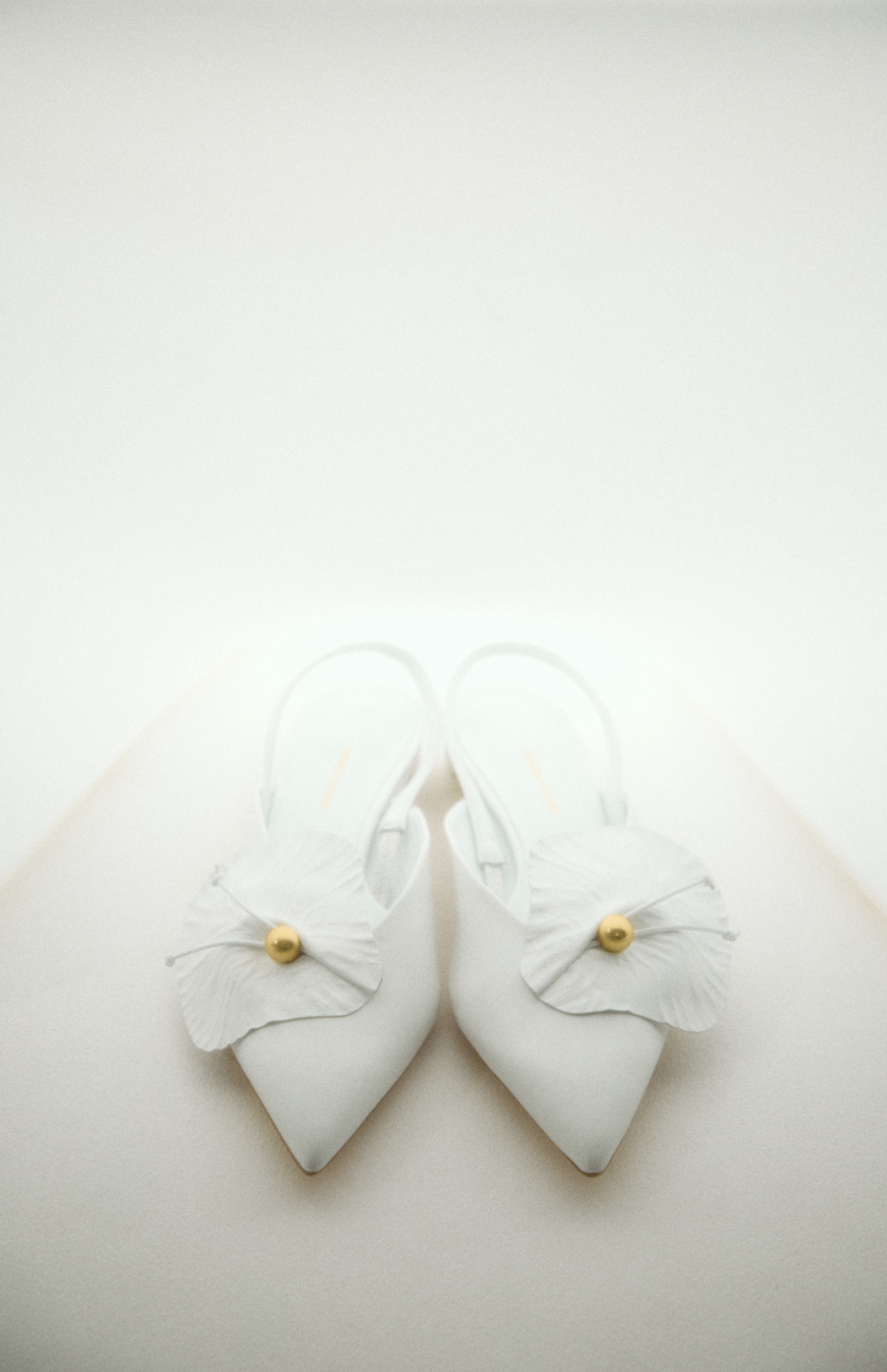 ALICE ALABASTER WHITE